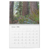 Der lebende Wald fotografisch Kalender (Jan 2026)