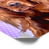 Der lebendige irische Setter Pop Art Poster (Ecke)