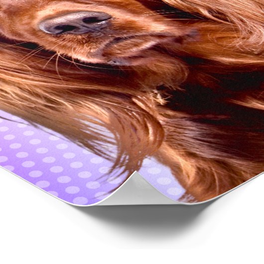 Der lebendige irische Setter Pop Art Poster (Ecke)