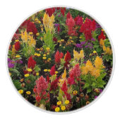 Der lebendige Sommergarten in Orlando Florida Keramikknauf (Vorderseite)