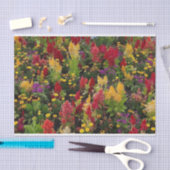 Der lebendige Sommergarten in Orlando Florida Seidenpapier (Handwerk)