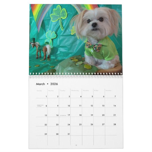 Der Lebenskalender von Gilbert 2026 Kalender (Mär 2026)