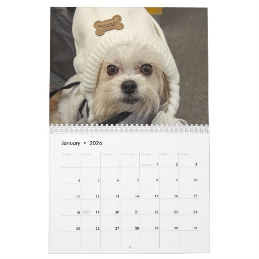 Der Lebenskalender von Gilbert 2026 Kalender (Jan 2026)