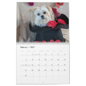 Der Lebenskalender von Gilbert 2026 Kalender (Feb 2027)