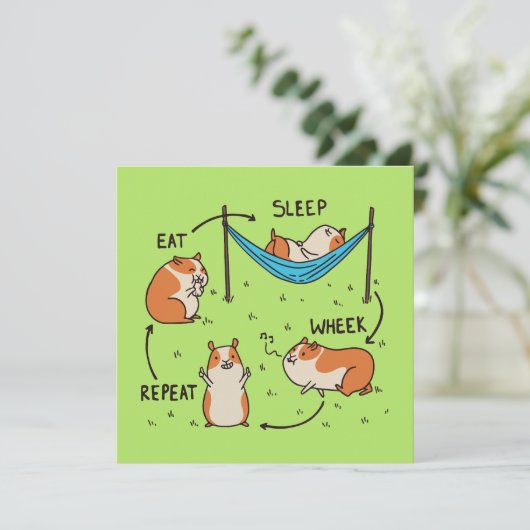 Der Lebenszyklus eines Guinea Pig (Stehend Vorderseite)