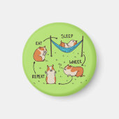 Der Lebenszyklus eines Guinea Pig Magnet (Vorne)