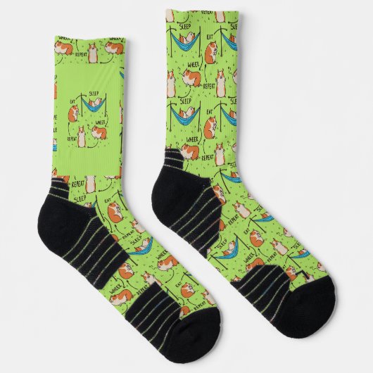 Der Lebenszyklus eines Guinea Pig Socken (Rechts)