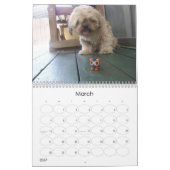 Der Lehm-Kumpel-Kalender Kalender (Mär 2027)