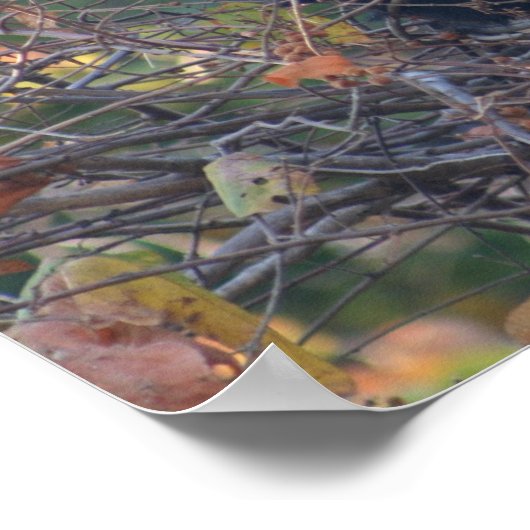 Der Lehrer Poster (Ecke)