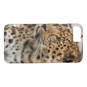 Der Leopard Case-Mate iPhone Hülle (Rückseite (Horizontal))