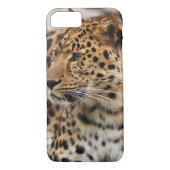 Der Leopard Case-Mate iPhone Hülle (Rückseite)