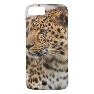 Der Leopard iPhone 8/7 Hülle