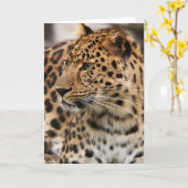 Der Leopard Karte (Gelbe Blume)