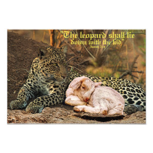 Der Leopard legt sich mit dem KindJesaja 11 hin Fotodruck