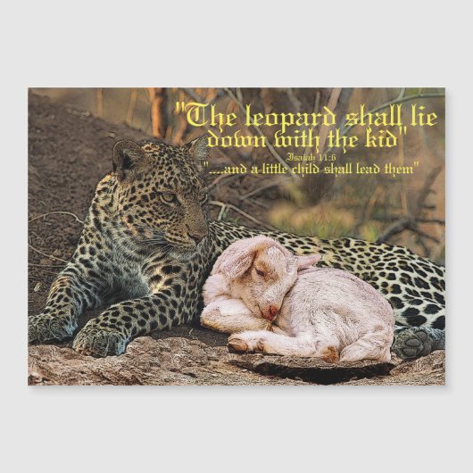 Der Leopard legt sich mit dem Lamm-Isaiah 11 Magnetkarte (Vorderseite)