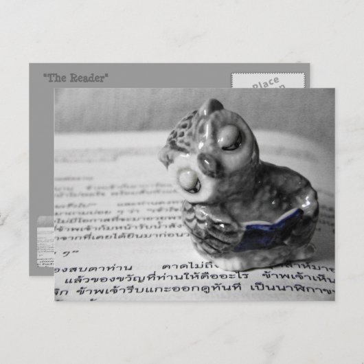 Der Leser Postkarte (Vorne/Hinten)