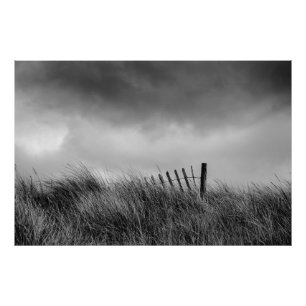 Der letzte Beitrag Fotodruck