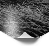 Der letzte Beitrag Fotodruck (Ecke)