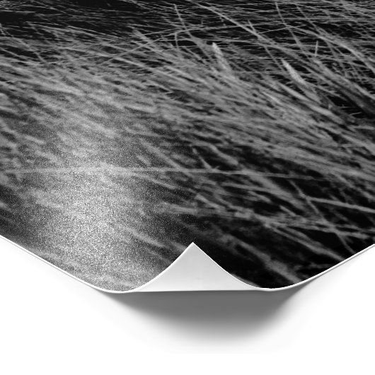 Der letzte Beitrag Fotodruck (Ecke)