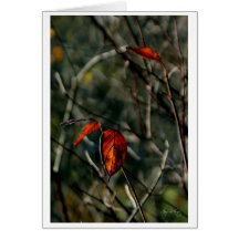 Der letzte Tanz des Herbstes