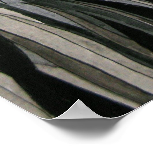 Der letzte Tiger - Poster (Ecke)