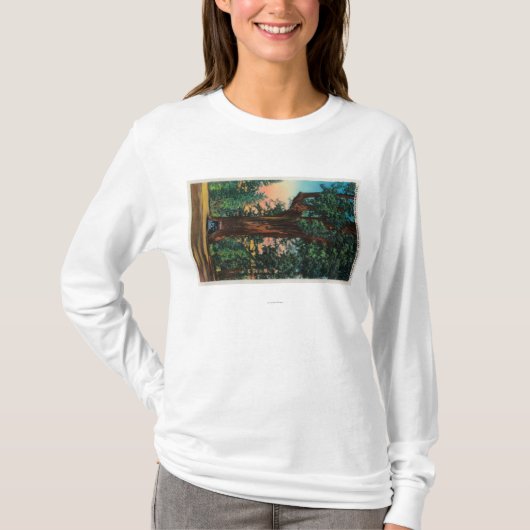 Der Leuchter-Baum, Unterholz-Park T-Shirt (Vorderseite)