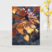 Der Lichtschacht durch gelassen Karte (Gelbe Blume)