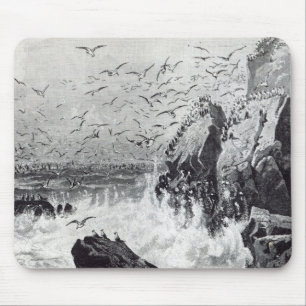Der Lieblingsplatz der Möven Mousepad