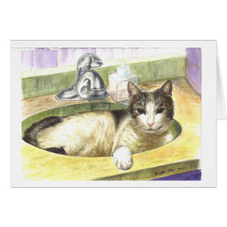 Der Lieblingsplatz einer Katze