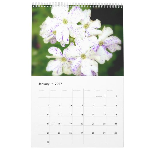Der lila Garten 2013 Kalender (Jan 2027)