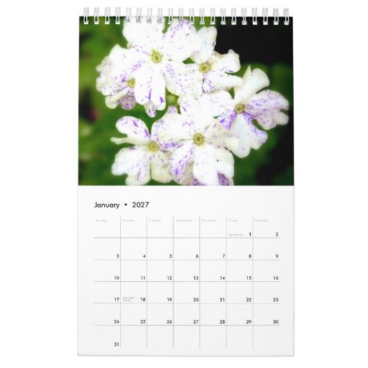 Der lila Garten 2015 Kalender (Jan 2027)
