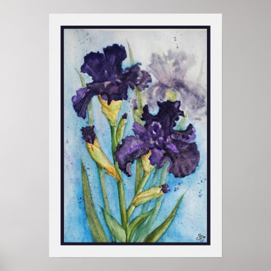 Der Lila Iris des Frühlings Poster (Vorne)