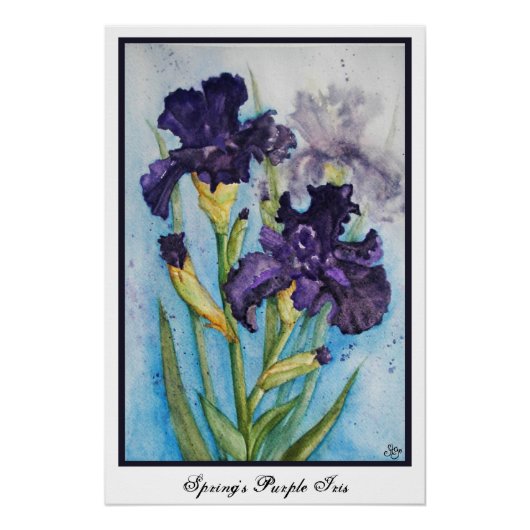 Der Lila Iris des Frühlings Poster (Vorderseite)