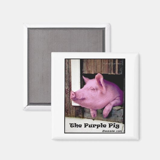 Der Lila Schweinemagnet Magnet (Vorderseite/Rückseite)