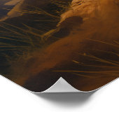 Der Löwe bei Sonnenuntergang Poster (Ecke)