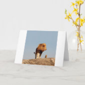 Der Löwe-König (erwachsener Löwe und CUB) Karte (Gelbe Blume)
