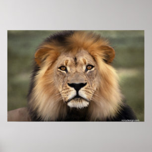 Der Löwe Poster