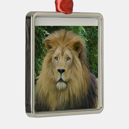 Der Löwe Silbernes Ornament (Rechts)