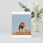 Der Löwenkönig ( Adult Löwe und Cub ) Postkarte (Stehend Vorderseite)