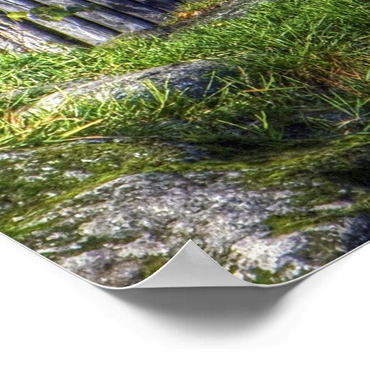 Der Löwenkönig Poster (Ecke)