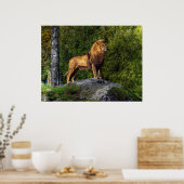 Der Löwenkönig Poster (Küche)