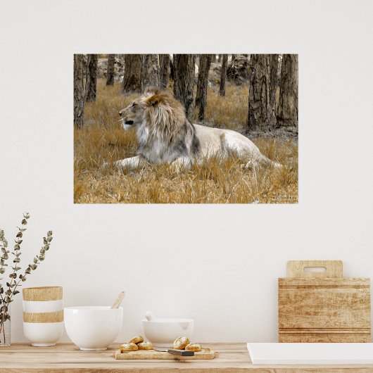 Der Löwenkönig Poster (Küche)