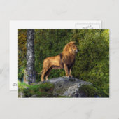 Der Löwenkönig Postkarte (Vorne/Hinten)