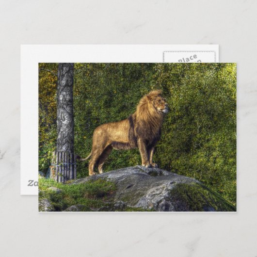 Der Löwenkönig Postkarte (Vorne/Hinten)