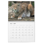 Der Luchs Kalender (Mär 2027)