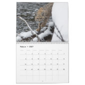 Der Luchs Kalender (Feb 2027)