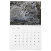 Der Luchs Kalender (Jan 2026)