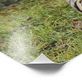 Der Luftschiff knurrt durch ein nasses Feld Fotodruck (Ecke)