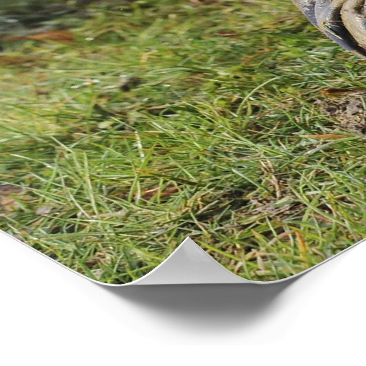 Der Luftschiff knurrt durch ein nasses Feld Poster (Ecke)