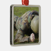 Der Luftschiff knurrt durch ein nasses Feld Silbernes Ornament (Rechts)